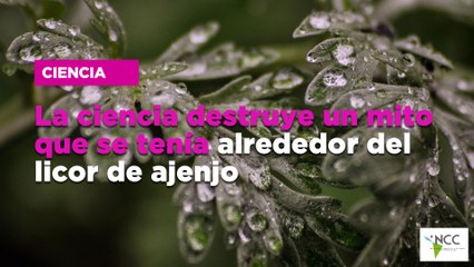 La ciencia destruye un mito que se tenía alrededor del licor de ajenjo