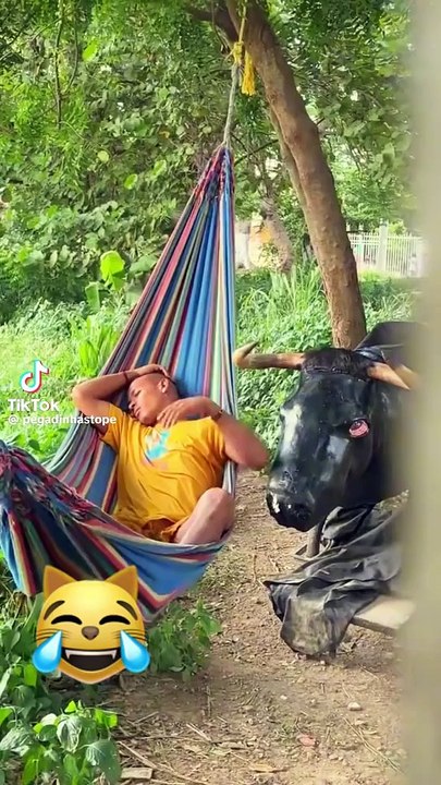 MUITO ENGRAÇADO ESSA PEGADINHA