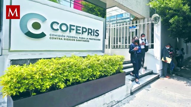 Las playas más contaminadas de México y enfermedades que puedes contraer en ellas