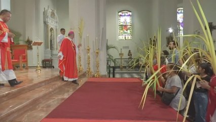 Domingo de Ramos en el Casco Antiguo