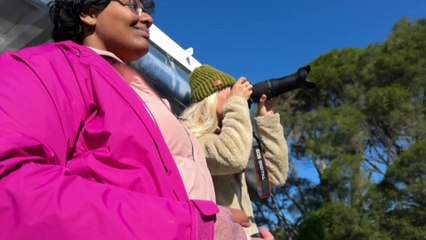 Birdwatching keeps citizen scientists ‘happy and healthy’ as they track species