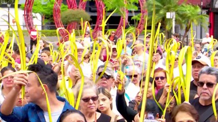 FIELES CATÓLICOS DE TODO EL PAÍS PARTICIPARON DE LA EUCARISTÍA DEL DOMINGO DE RAMOS