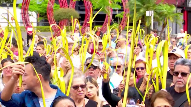 FIELES CATÓLICOS DE TODO EL PAÍS PARTICIPARON DE LA EUCARISTÍA DEL DOMINGO DE RAMOS