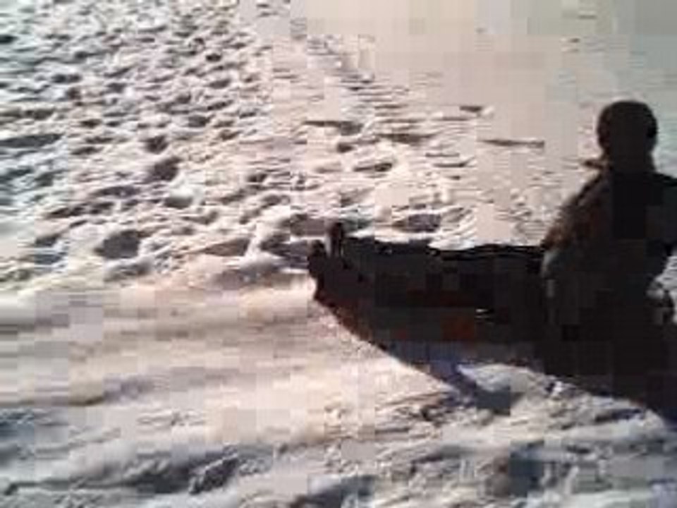 Noël 2005 Tarbes 032