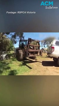 RSPCA inspectors cop daily abuse whilst investigating animal cruelty