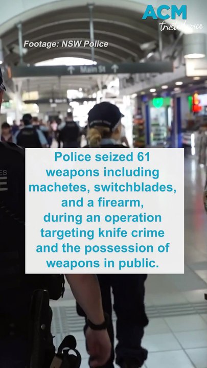 Police seize weapons, drugs, cash during blitz around NSW public places