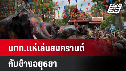แห่เล่นสงกรานต์กับช้างอยุธยา-ช้าง 9 เชือกเล่นน้ำกับ นทท.ที่สวนนงนุช| โชว์ข่าวเช้านี้  | 14 เม.ย. 68
