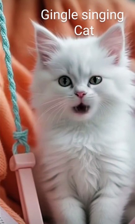 Jingle singing Cat