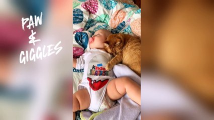 The Kid & The Cat: Besties for Life