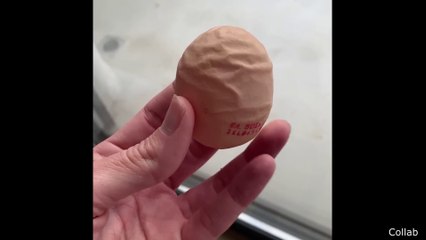 A Really Wrinkly Egg hilarious videos ever