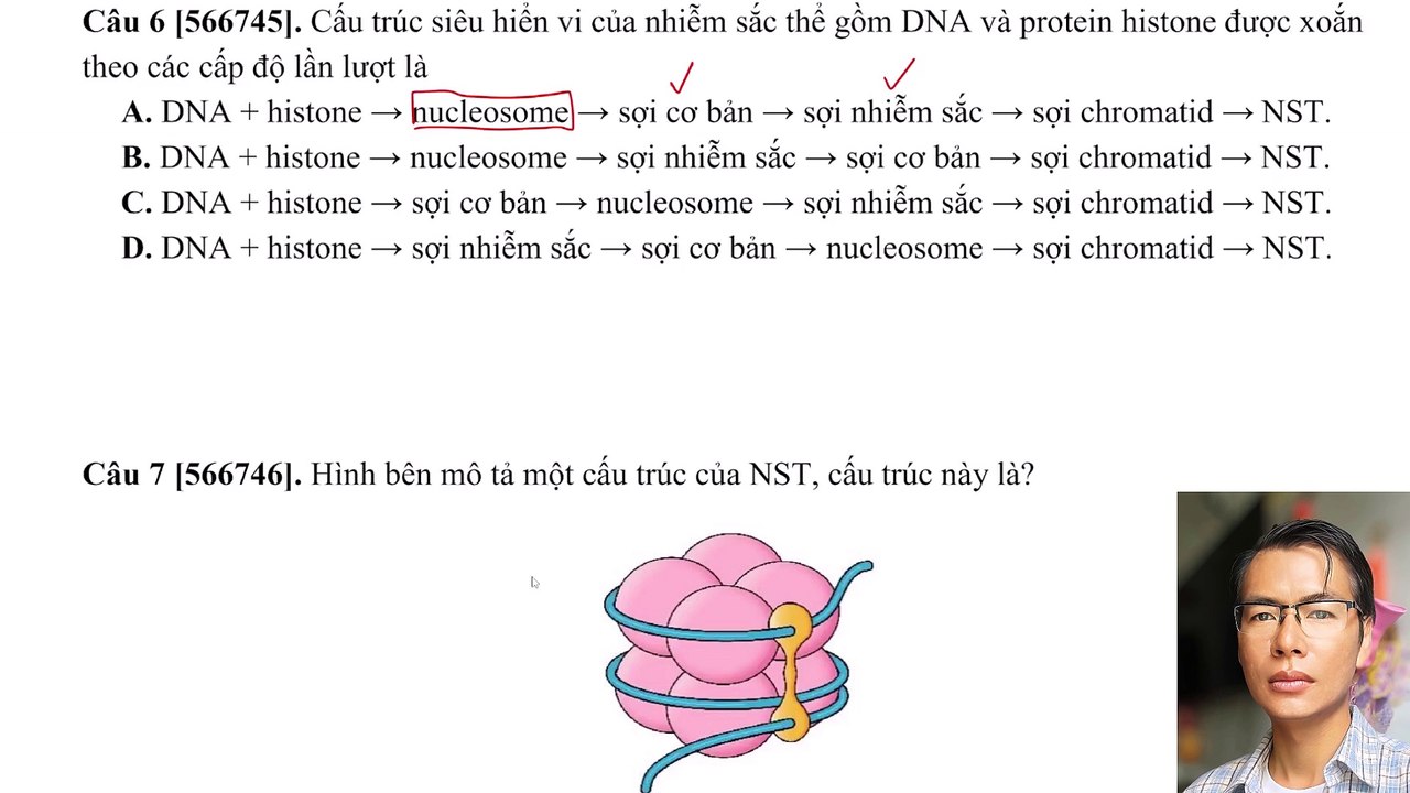 Sinh 12 - Chuyên đề cấu trúc và chức năng nhiễm sắc thể