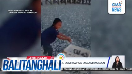 Banye-banyerang isda, lumitaw sa dalampasigan ng Brgy. Palahangan | Balitanghali
