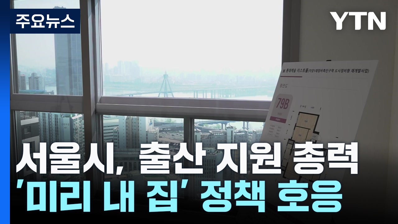 미리내집 확대·소득기준 대폭 완화...서울, 출산 지원 확대 총력 / YTN