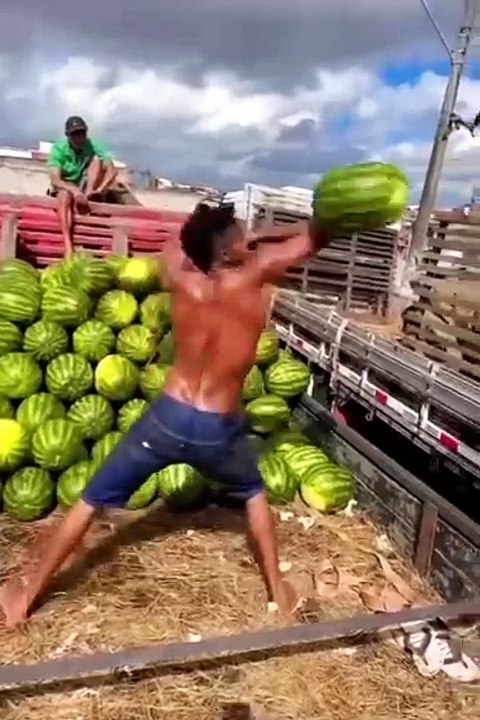 Majic short clip