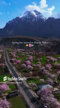 #spring #skardu #valley #gilgit #springinskarduvalley #explore #explorepakistan #nature