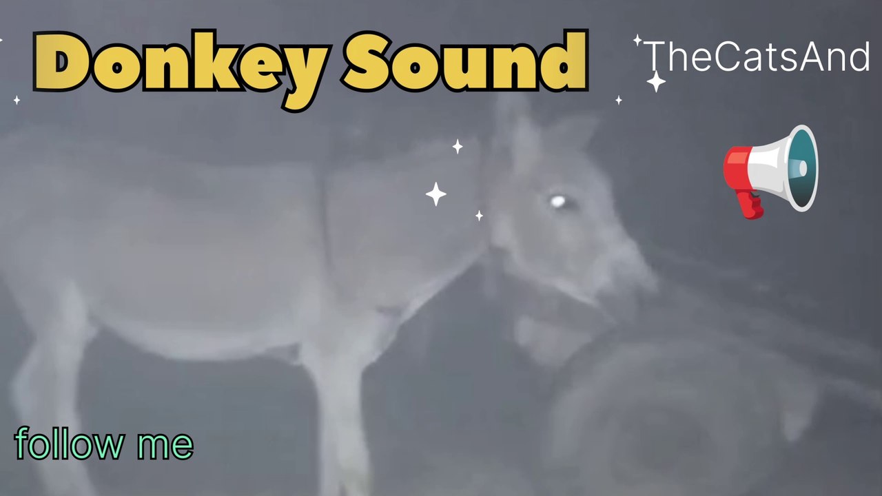 Donkey Sound loud | Animal Sound | #foryou #feed #foryoufeed #donkey #sound #loud #laughing #funny #comedy