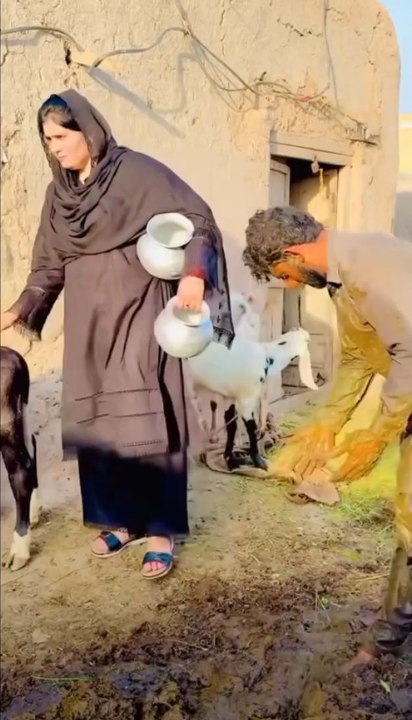 #Entrtainment#funyvideo#shortviral#shortclip#dailymution#kashmirvilog#shortvilog#
