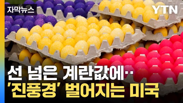 [자막뉴스] 부활절 앞두고 달걀 꾸러미?...알고 보니 '가짜' / YTN