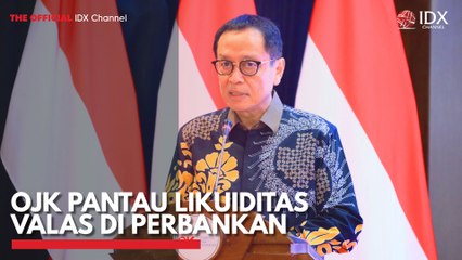 OJK Pantau Likuiditas Valas di Perbankan
