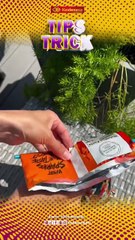 Tips Trick Today, Senin 14 April 2025