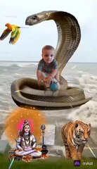 follow karo follow bhole baba ke liye