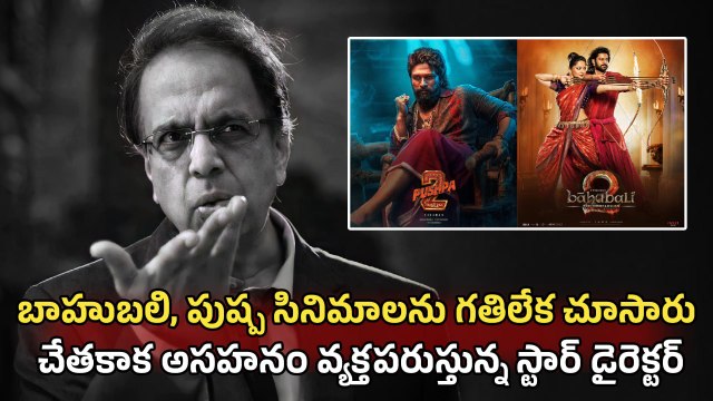 Anant Mahadevan : ఆ సినిమాలకు అంత సీన్ లేదు | director controversial comments | Filmibeat telugu