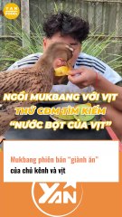 Giành ăn phiên bản vịt và người