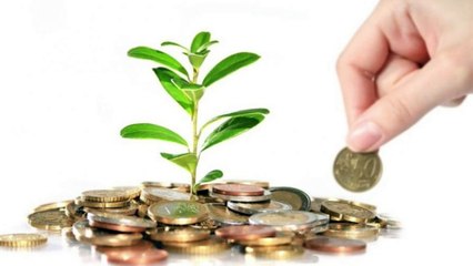 How to Start Your First Business  Pehla karobari Idea  karobar ap sab kay liay Fist business idea