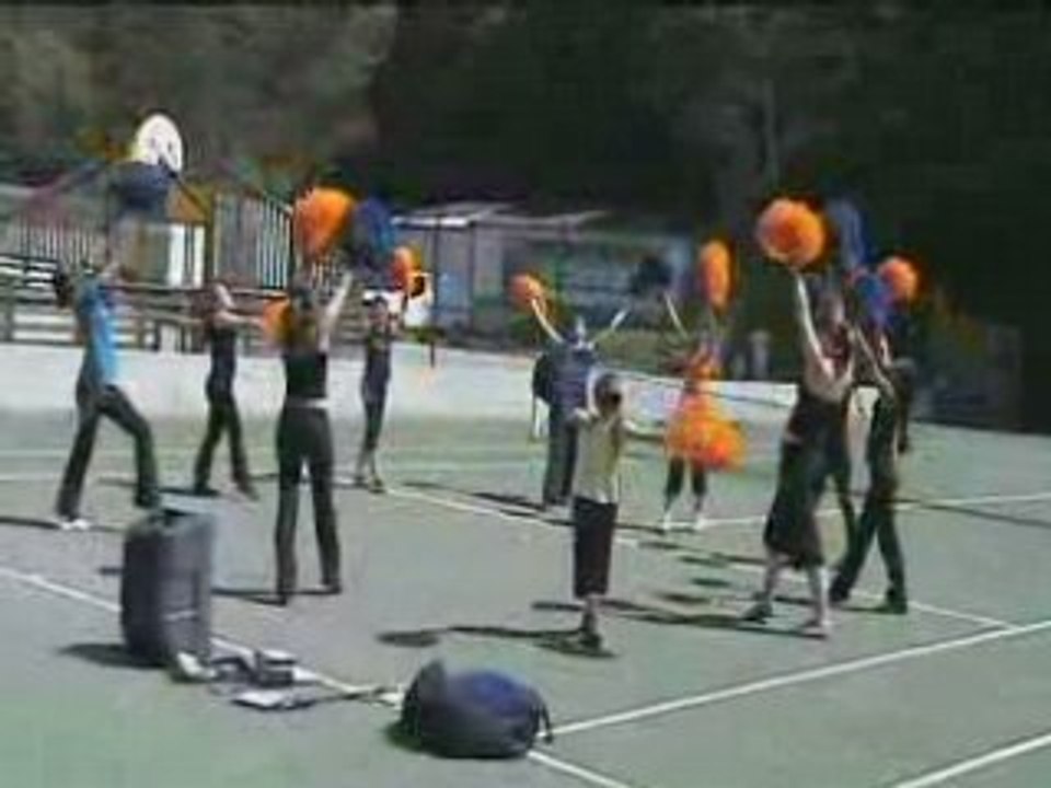 Twirlpompons
