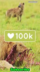 The 7 Fiercest Animals in the World! - Short