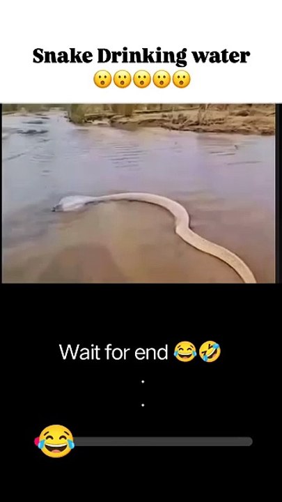 Funnyman