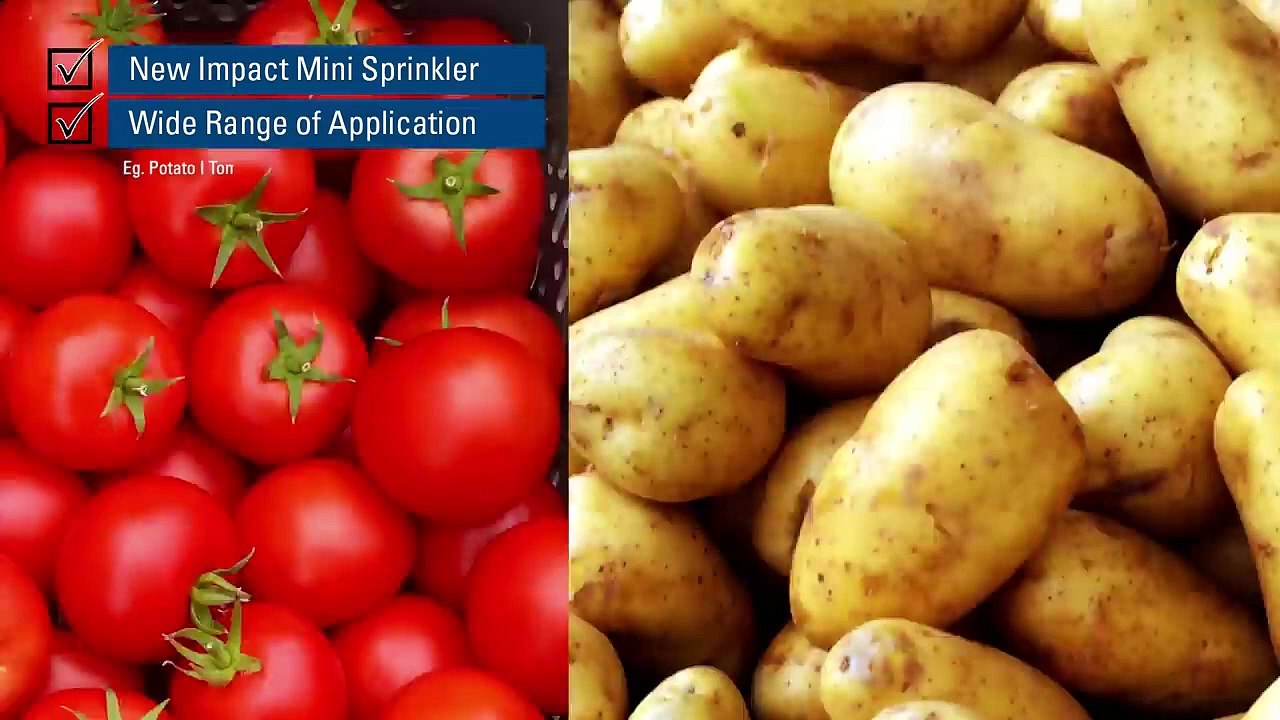 Smart Farming with Netafim D-Net 3D Arm Impact Mini Sprinkler