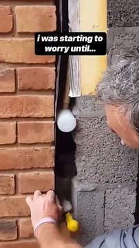 I heard some cat meows on the construction site #shorts #cat #rescue