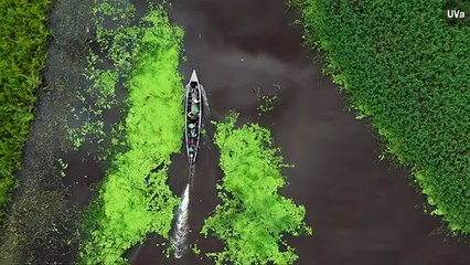 Mario Vargas Llosa, doctor 'honoris causa' por la Universidad de Valladolid