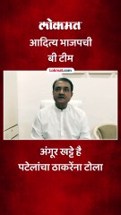 आदित्य ठाकरेंच भाजपची बी टीम..प्रफुल पटेल असं का म्हणाले?