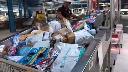 Parcel Feeding Into Sorters by Falcon Autotech