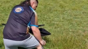 Gentleman catches a venomous snake to keep his dogs safe at home