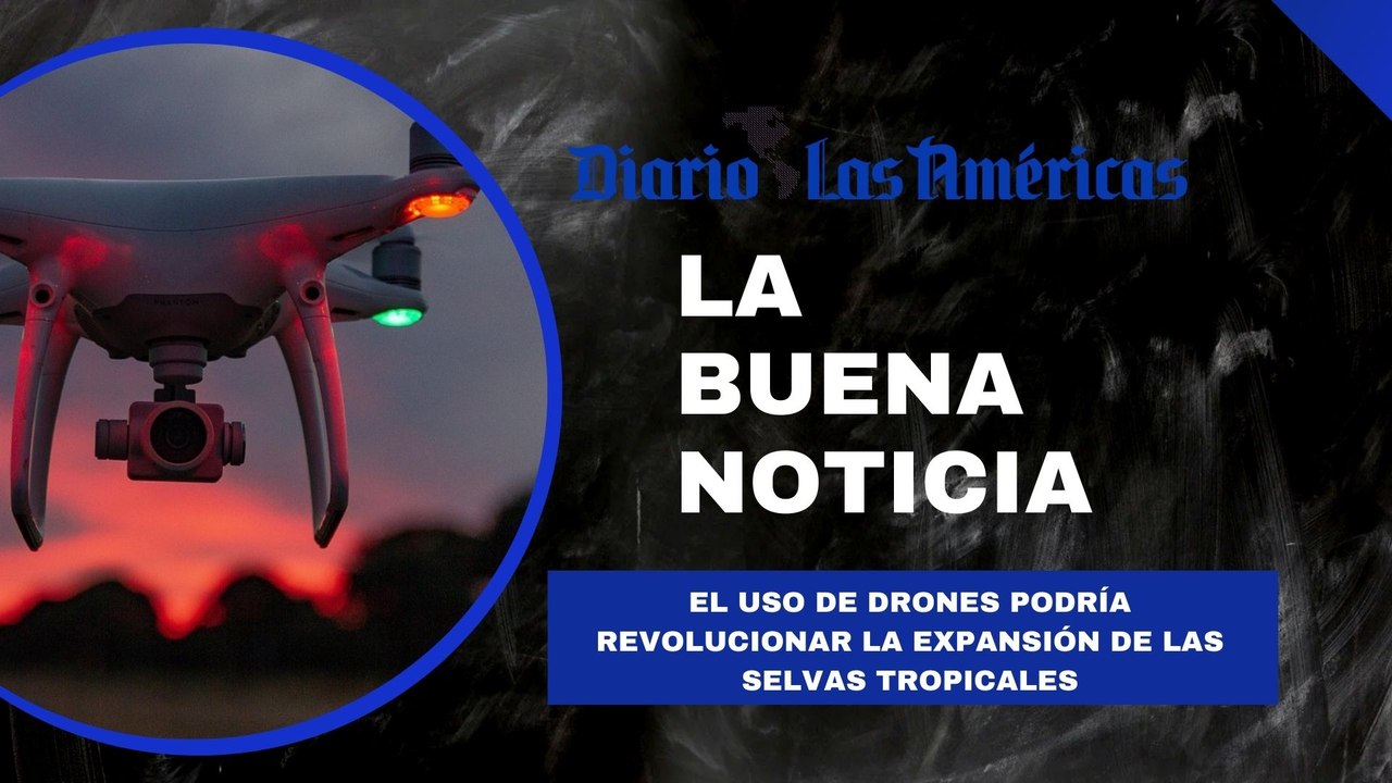 El uso de drones podría revolucionar la expansión de las selvas tropicales | La buena noticia