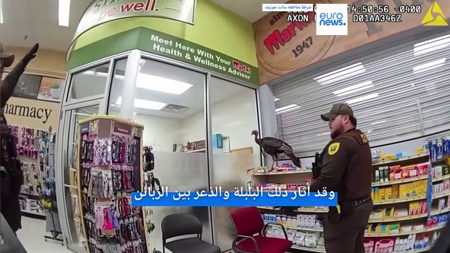 ديك رومي غاضب يقتحم صيدلية في ولاية إنديانا الأمريكية ليجد نفسه في قبضة الشرطة