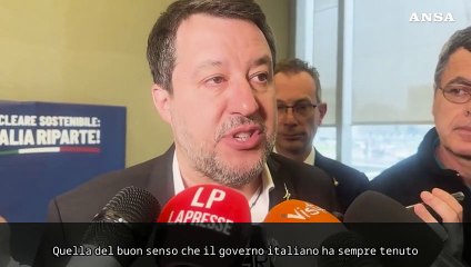 Salvini: "Meloni vada da Trump con la linea del buon senso"