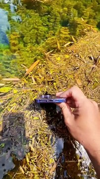 1.3M Views 'Our Nature's Beauty '..Follow - @mr.rahulsshorts ......#naturephotography #nature #videogr...#naturelovers #naturelovers #outdoor #travel #mountains #underwater #explore #instagram #instagood #wildlife #water #reels