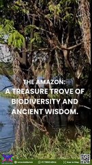 🌸From soil to soul—sustainability matters.