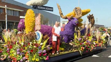 إحياء الدورة الـ78 من مهرجان "بلومنكورسو بولنستريك" للزهور في هولندا