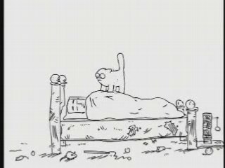 comment est on revéillé par son chat ?