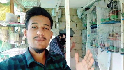 Visit Saad Bhai Mutation Finches Setup After Long Time 😍