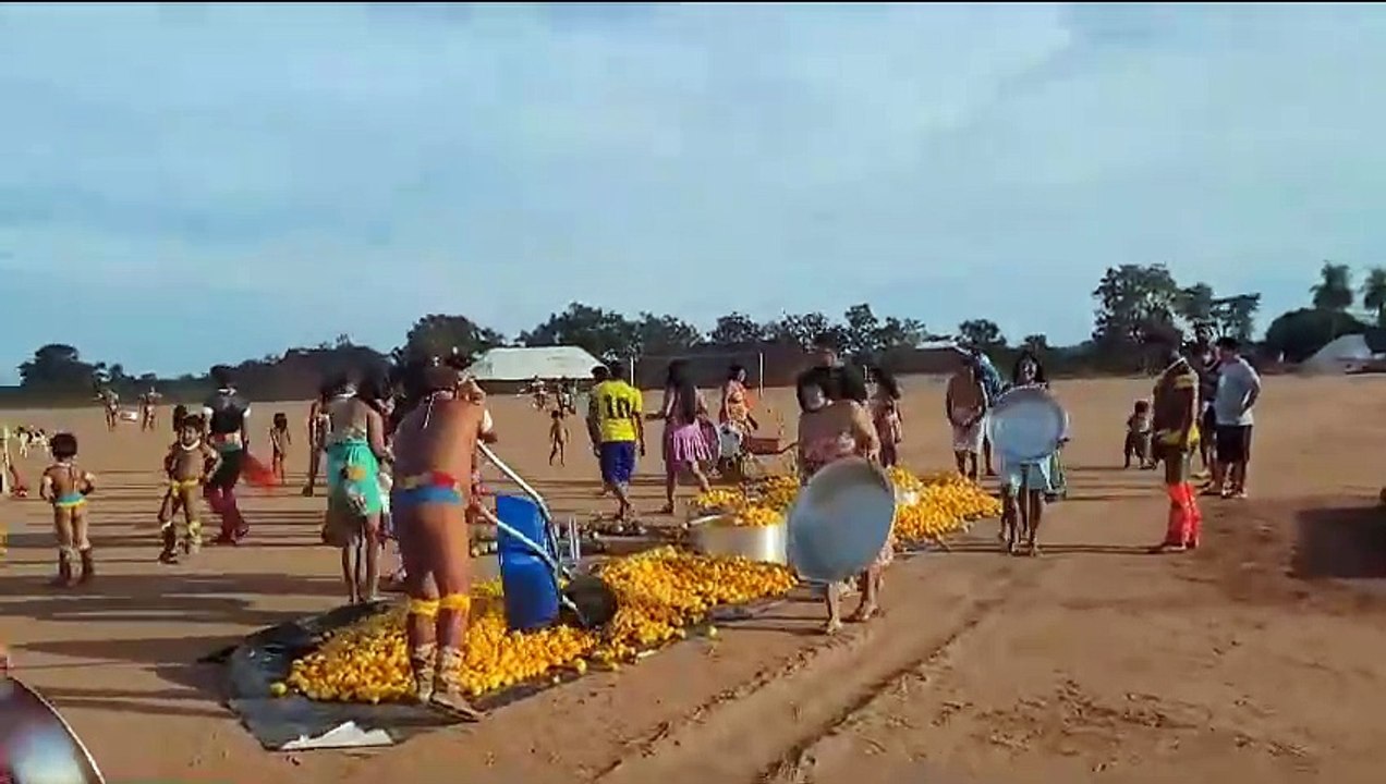 Doação de Pequi