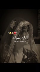 Ye Kon Sala mery nye Metter mein Reading kr gea 🤣🤣🤣🤣🤣