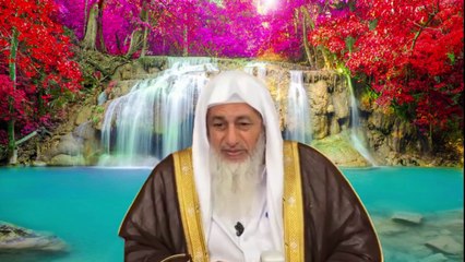 أخي ضربني وكسر سيارتي فتاوي مصطفي العدوي