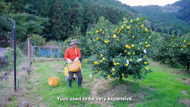 The demand for this expensive Japanese fruit is skyrocketing. Here's what makes it so special.