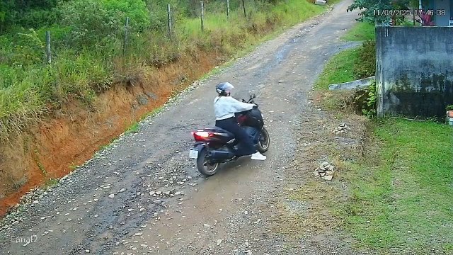 Após ser abandonado, cachorro corre atrás da moto da ex-tutora em Barra Velha e vídeo viraliza